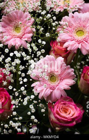 Rosen, Gerbera und Gypsophila in einem Blumenarrangement kombiniert. 4. Stockfoto