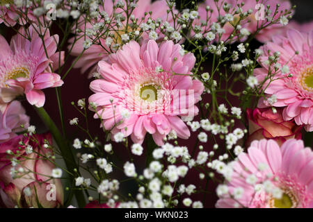 Rosen, Gerbera und Gypsophila in einem Blumenarrangement kombiniert. 6. Stockfoto