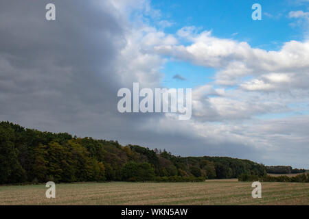 Wald und Feld Landschaft, Dramatischer Himmel Stockfoto