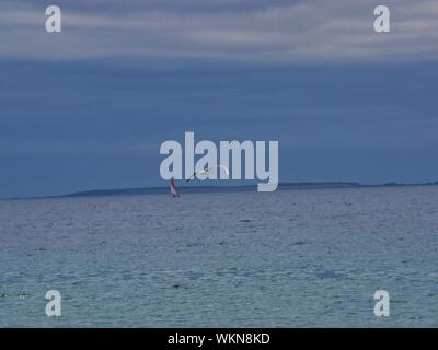 Mouette sur la plage de Brest, les Pasteten dans l'eau qui prend Son envol Au dessus de la Mer, l'océan Atlantique Stockfoto