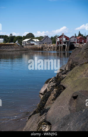 Seal Cove Fischerdorf aus dem Meer an der Wand Stockfoto