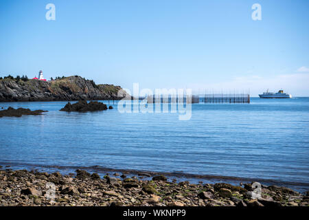 Die Grand Manan V Fähre vorbei an Schwalbenschwanz Leuchtturm auf dem Weg in den Hafen Stockfoto