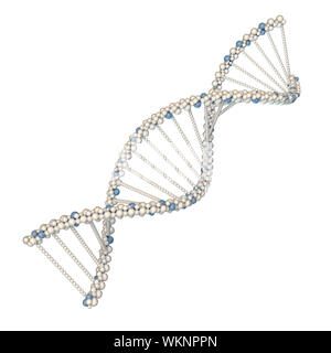 DNA-Moleküle. Auf weissem Hintergrund Stockfoto