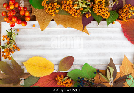 Herbst Blätter und Beeren über hölzerne Hintergrund mit Textfreiraum Stockfoto