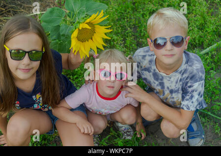 Kinder unter 8 Jahren Alle zusammen Tragen einer Brille vor dem Hintergrund des grünen Grases und gelbe Sonnenblumen. Stockfoto