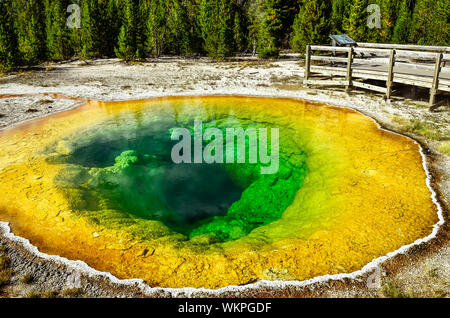 Detailansicht des geothermischen Pool Morning Glory in Yellowstone NP, Wyoming, USA Stockfoto