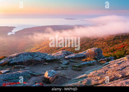 Herbst Sonnenaufgang in Acadia National Park, Maine von der Oberseite des Cadillac Mountain Stockfoto