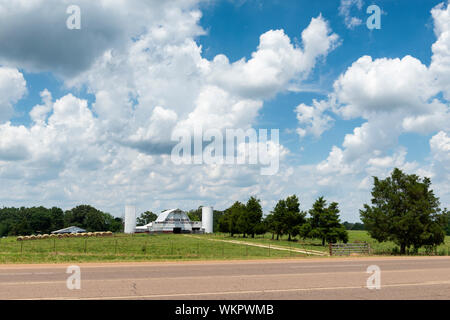 Somerville, Tennessee, USA - 25. Juni 2014: Blick auf die woodburn Farm in der Nähe der Stadt Somerville, Tennessee. Stockfoto