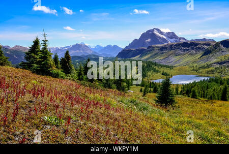 Malerische Aussicht auf die Berge in Banff National Park in der Nähe von Ägypten Lake, Alberta, Kanada Stockfoto