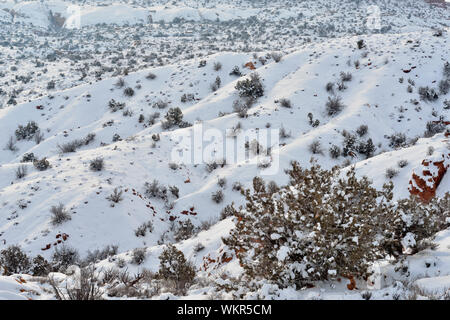 Sandstein Flossen in der Nähe der Feuerofen, Arches National Park, Utah, USA Stockfoto