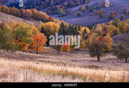 Siebenbürger Herbst Dämmerung in der Tal-Wiese Stockfoto