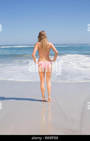 Ansicht der Rückseite des passende Frau im Bikini am Strand an einem sonnigen Tag Stockfoto