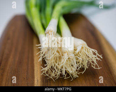 In der Nähe von Bund Frühlingszwiebeln Festlegung auf braun Holzbrett. Selektive konzentrieren. Stockfoto