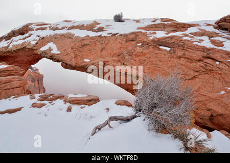 Mesa Arch im Winter, mit Nebel, Canyonlands National Park, Utah, USA Stockfoto