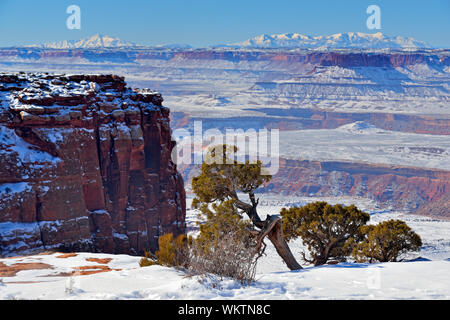 Snowy Wüste an der Orange Klippen übersehen, Canyonlands National Park, Utah, USA Stockfoto