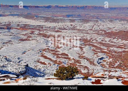 Snowy Wüste an der Orange Klippen übersehen, Canyonlands National Park, Utah, USA Stockfoto