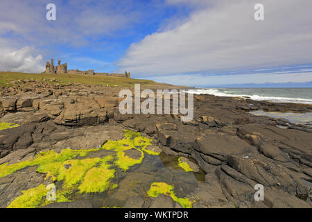 Dunstanburgh Castle vom felsigen Küstenlinie auf der Northumberland Küste in der Nähe Craster, Northumberland, England, UK. Stockfoto