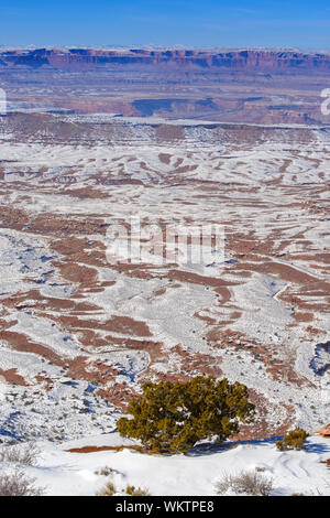 Snowy Wüste an der Orange Klippen übersehen, Canyonlands National Park, Utah, USA Stockfoto