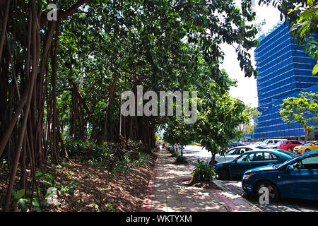 Cairns, Queensland/Australien - 03 Jan 2019: rund um die Stadt Cairns, Queensland, Australien Stockfoto