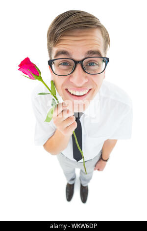 Geeky hipster Holding eine rote Rose auf weißem Hintergrund Stockfoto