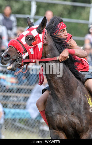 Die Enoch Cree Nation indischen Relais (Pferd) Rennen. Alberta, Kanada Stockfoto