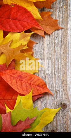 Grenze der Bunte Herbst Blätter isoliert auf rustikalen Holzmöbeln Hintergrund Stockfoto