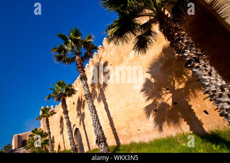 Rabat der alten Kasbah Wand mit Palmen umgeben Stockfoto