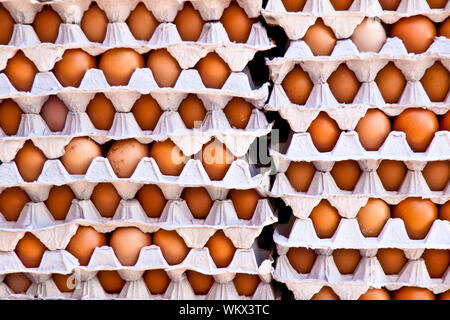 Eier in eine Karte bei den Verkauf auf dem lokalen Markt Stockfoto