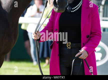 Stamford, Lincolnshire, Großbritannien. 04 Sep, 2019. Land Rover Burghley Horse Trials, Stamford, Lincolnshire, Großbritannien. Erste Inspektion für 69 Konkurrenten die Ausrichtung des Wettbewerbs Morgen zu starten. Emma Hyslop-Webb (GBR) Reiten Pennlands Douglas Credit: Julie Priestley/Alamy leben Nachrichten Stockfoto
