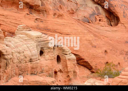 Verwitterte rote Felsformationen in der Wüste, Valley of Fire State Park, Nevada, USA Stockfoto