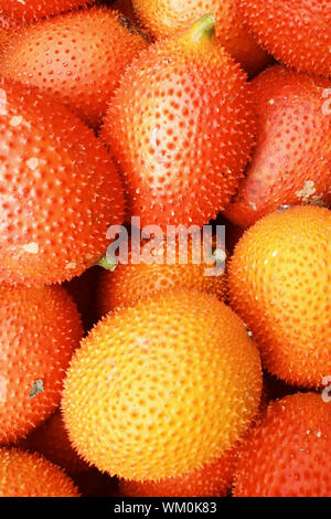 Frische Gac Obst Stockfoto