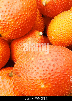 Frische Gac Obst Stockfoto