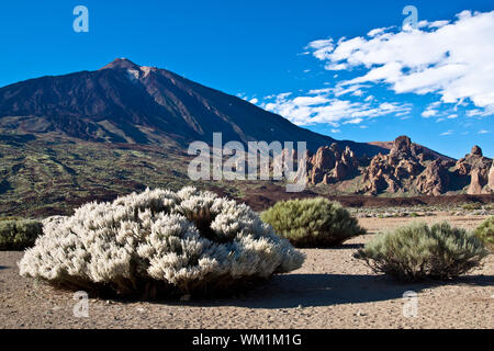 Vulkan Landschaft bei El Teide in Teneriffa. Stockfoto