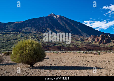 Vulkan Landschaft bei El Teide in Teneriffa. Stockfoto