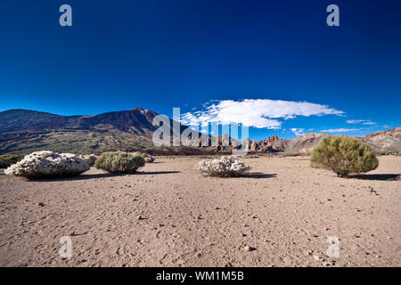 Vulkan Landschaft bei El Teide in Teneriffa. Stockfoto