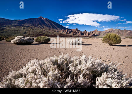 Vulkan Landschaft bei El Teide in Teneriffa. Stockfoto