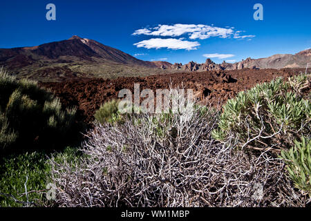 Vulkan Landschaft bei El Teide in Teneriffa. Stockfoto