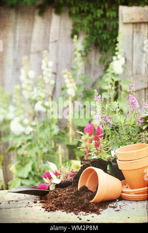 Foto auf Basis texturierten Bild von einem rustikalen Tisch mit Terracotta Töpfen, Blumenerde, Kelle und Blumen vor einem alten verwitterten Gartenarbeit zu vergießen. Stockfoto