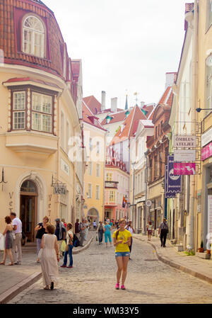 Tallinn, Estland Stockfoto