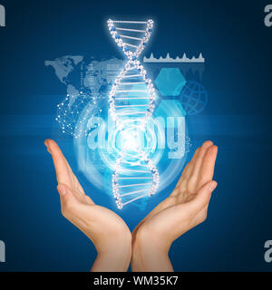 Hände halten Modell der DNA. Wissenschaftliche und medizinische Konzept Stockfoto