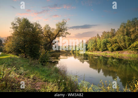 Rosa Sonnenuntergang über dem Fluss in den Wald Stockfoto