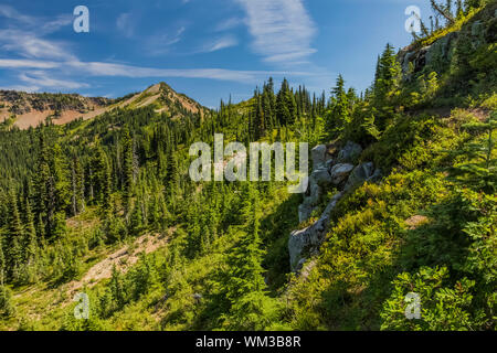 Subalpinen Wald entlang der kombinierten Pacific Crest Trail und Naches Peak Loop Trail in der William O, Douglas Wüste Wenatchee National Forest, Stockfoto