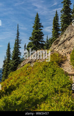 Wandern entlang der Naches Peak Loop Trail im Mount Rainier National Park, Washington State, USA Stockfoto