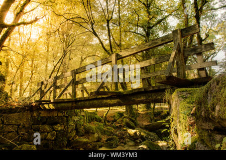 Holz-Brücke in Geres Nationalpark, Portugal Stockfoto