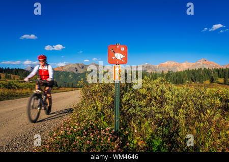 Biker auf dem Galloping Goose Trail, Uncompahgre National Forest, Colorado USA (MR) Stockfoto