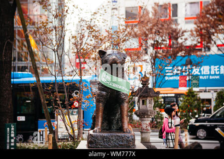 DEC 5, 2019 Tokyo, Japan - Hachiko memorial Statue mit niedlichen Katzen, Akita Hund, berühmt für Treue zu seinem Eigentümer bis zum Tod am Bahnhof Shibuya entfernt. Fam Stockfoto