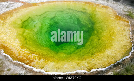 Blick auf Morning Glory Pool im Yellowstone Stockfoto
