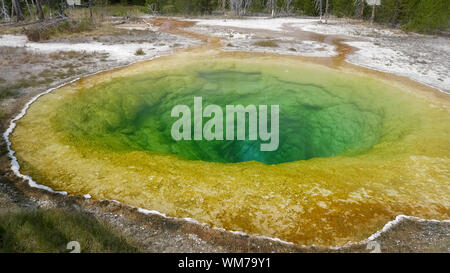 Einen weiten Blick über Morning Glory Pool im Yellowstone National Park Stockfoto