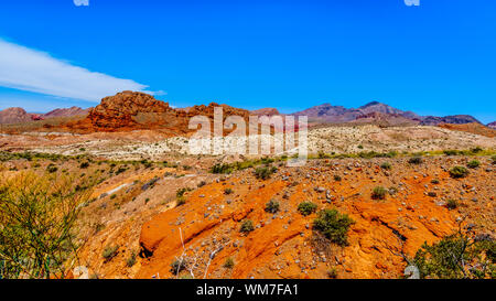 Die bunten Berge entlang Northshore Road SR 167 im Lake Mead National Recreation Area in der Halbwüste Landschaft zwischen Boulder City und Overton, Nevada, USA Stockfoto