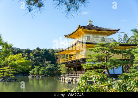 Kinkaku-ji Zen Tempel (Goldener Pavillon) in Kyoto, Japan Stockfoto